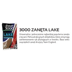 Sensas Zanęta 3000 Lake 1kg